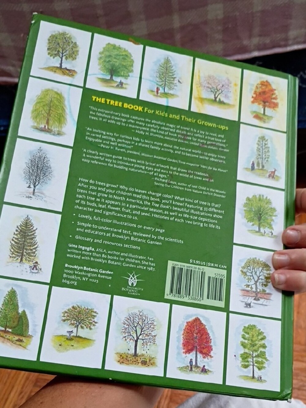 The Tree Book for Kids and Their Grown-ups - Green - Picture 2 of 5
